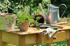 table de jardinage