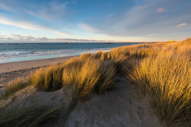 Plage déserte du Nord de la France