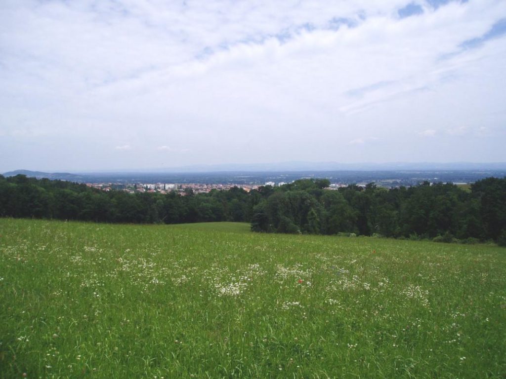 panorama-montbrison