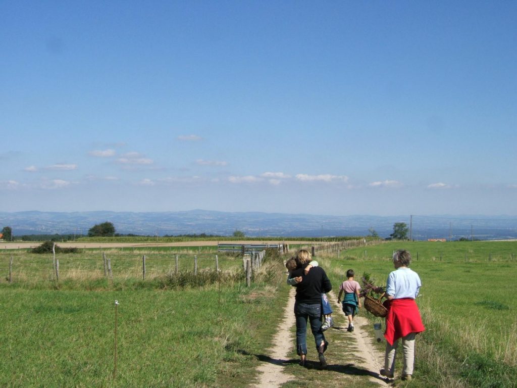 promenade dans le Forez